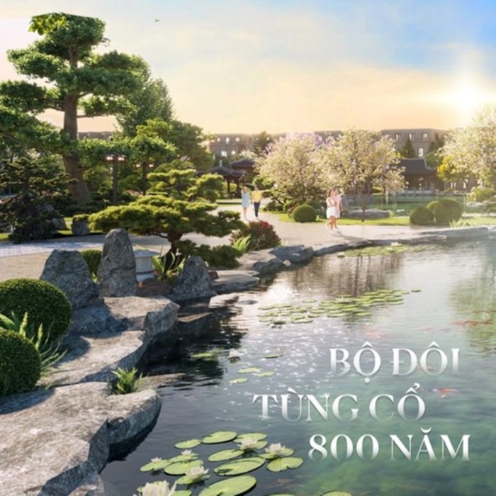 Bộ đôi Tùng La Hán 800 năm tuổi