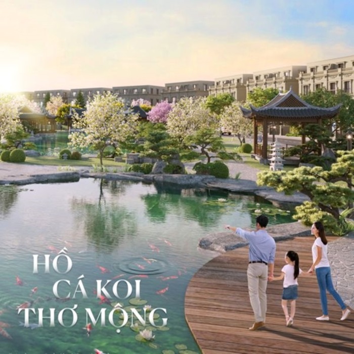 Hồ cá Koi: Mang ý nghĩa phong thủy về may mắn và thịnh vượng