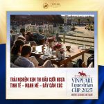 LẦN ĐẦU TIÊN TẠI VIỆT NAM- Cuộc thi cưỡi ngựa chỉ có tại Vinhomes Royal Island