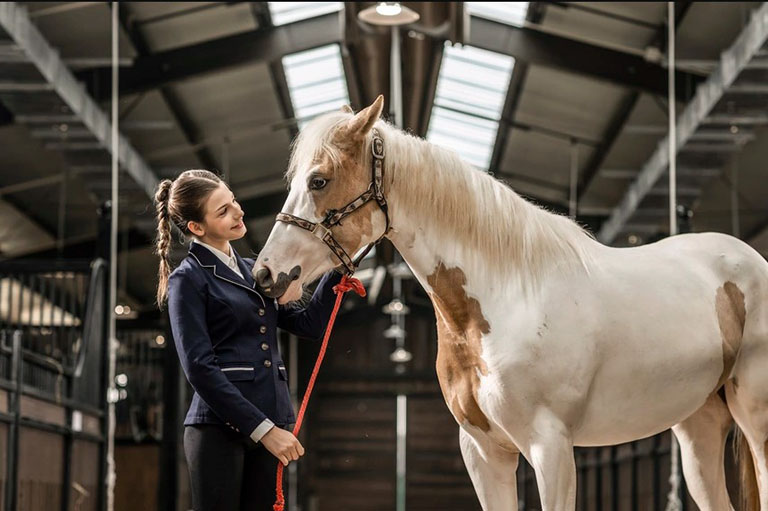 Vinhomes Royal Island: Khi hào khí Thành phố Cảng viết tiếp chương di sản mới 5 vinhomes royal island viet tiep chuong di san moi 5