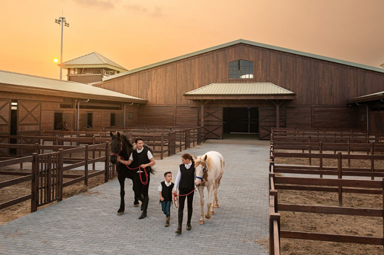 Học viện cưỡi ngựa Vinpearl Vũ Yên - Nơi trải nghiệm vượt khỏi giá trị giải trí 1 hoc vien cuoi ngua vinpearl vu yen 4