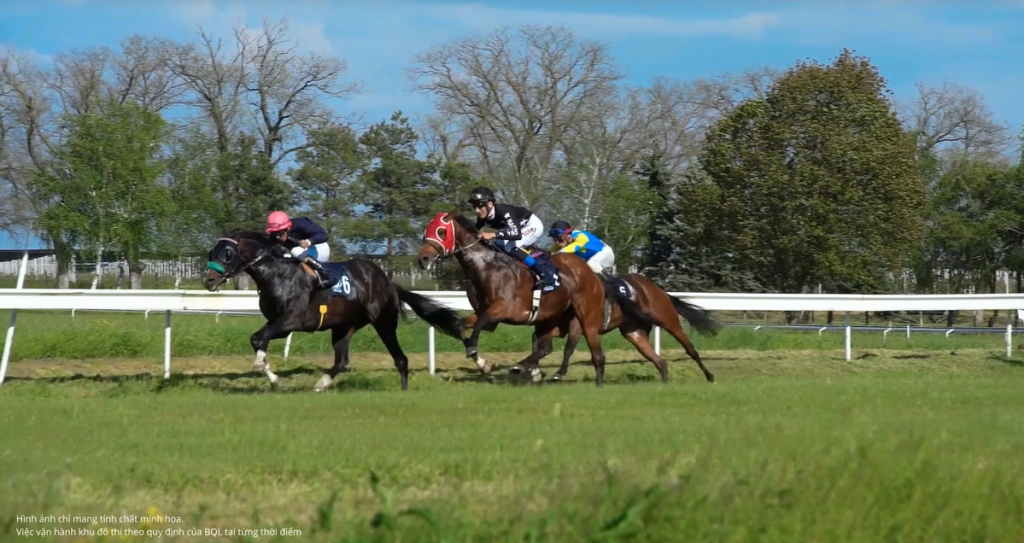 Học viện cưỡi ngựa Hoàng Gia Horse Academy có nhiều hoạt động hấp dẫn Học viện cưỡi ngựa Hoàng Gia Horse Academy có nhiều hoạt động hấp dẫn