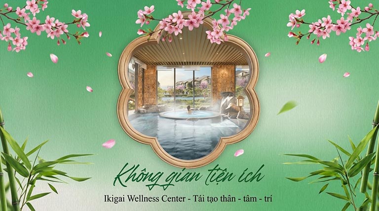 The Komorebi | Sống chậm trong những khung nhìn an yên